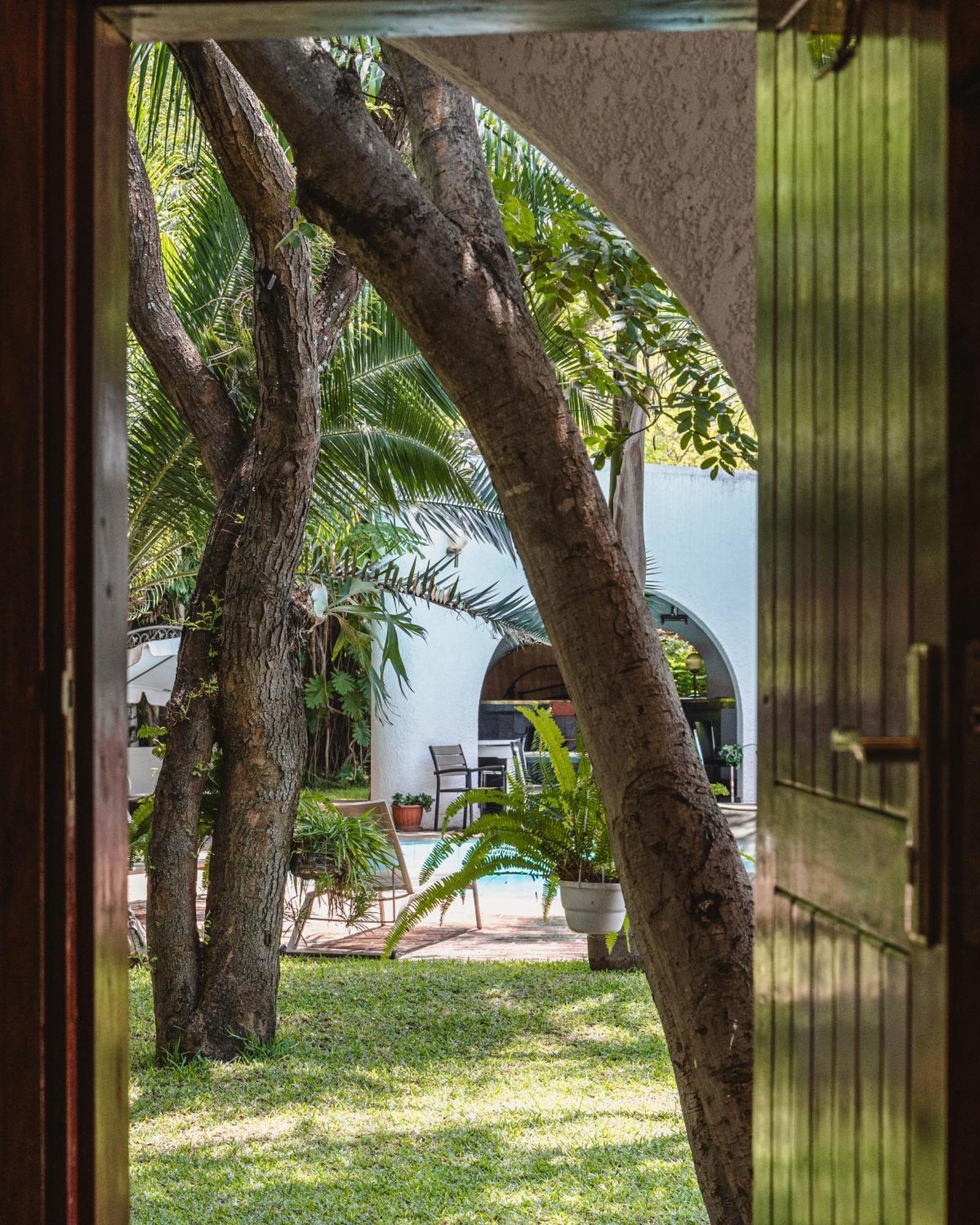 Jacaranda Lodge Виктория Фолс Екстериор снимка