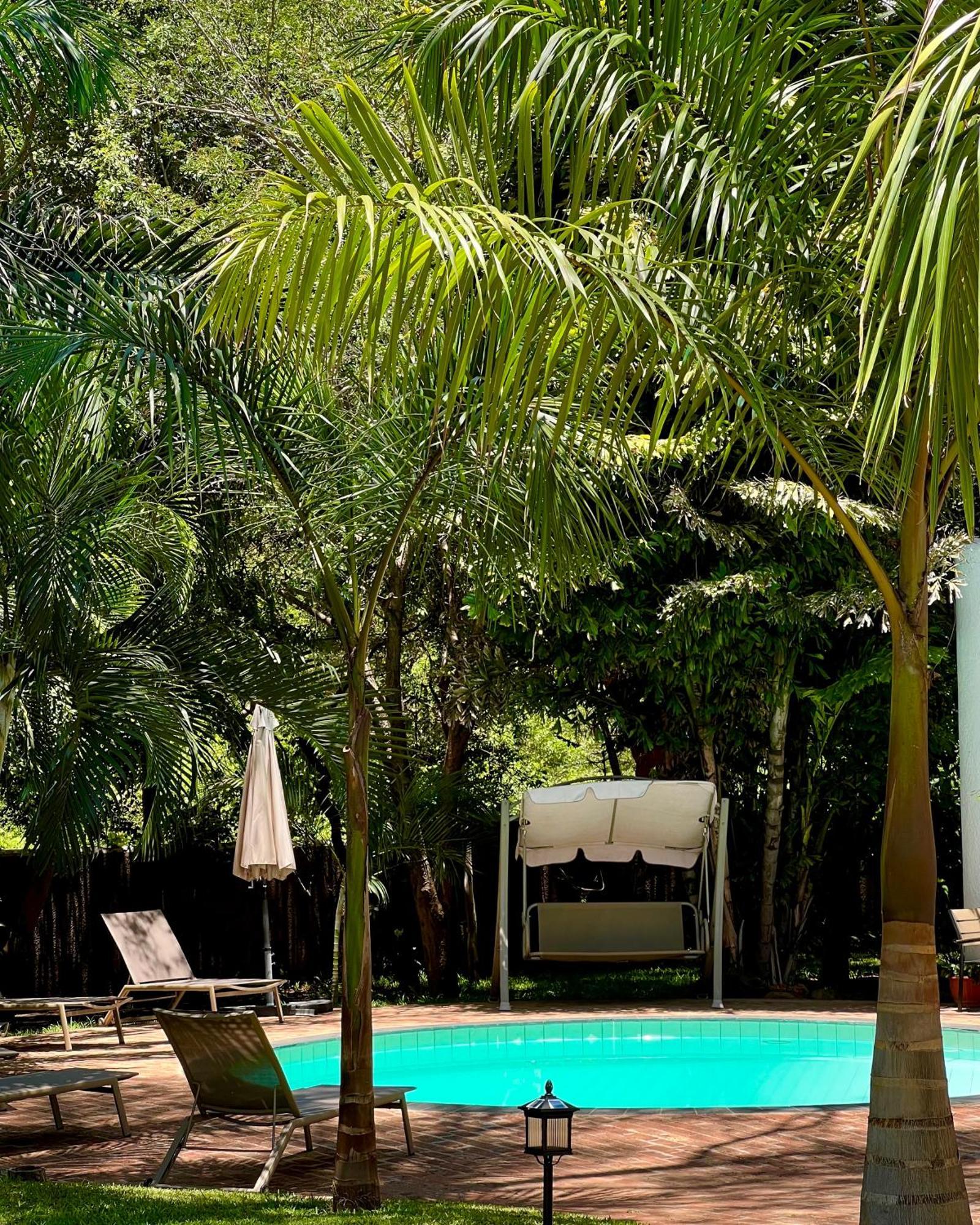Jacaranda Lodge Виктория Фолс Екстериор снимка